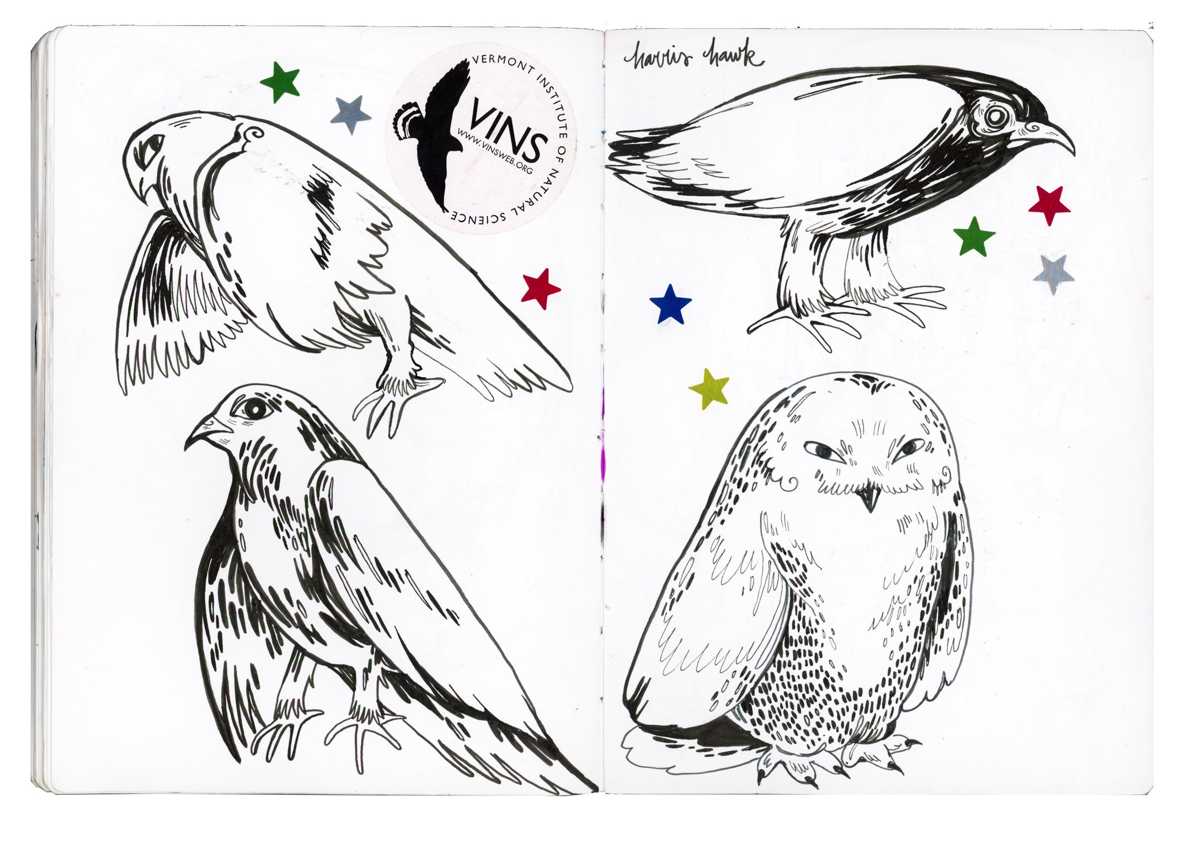 spring - summer 2024 spread #2