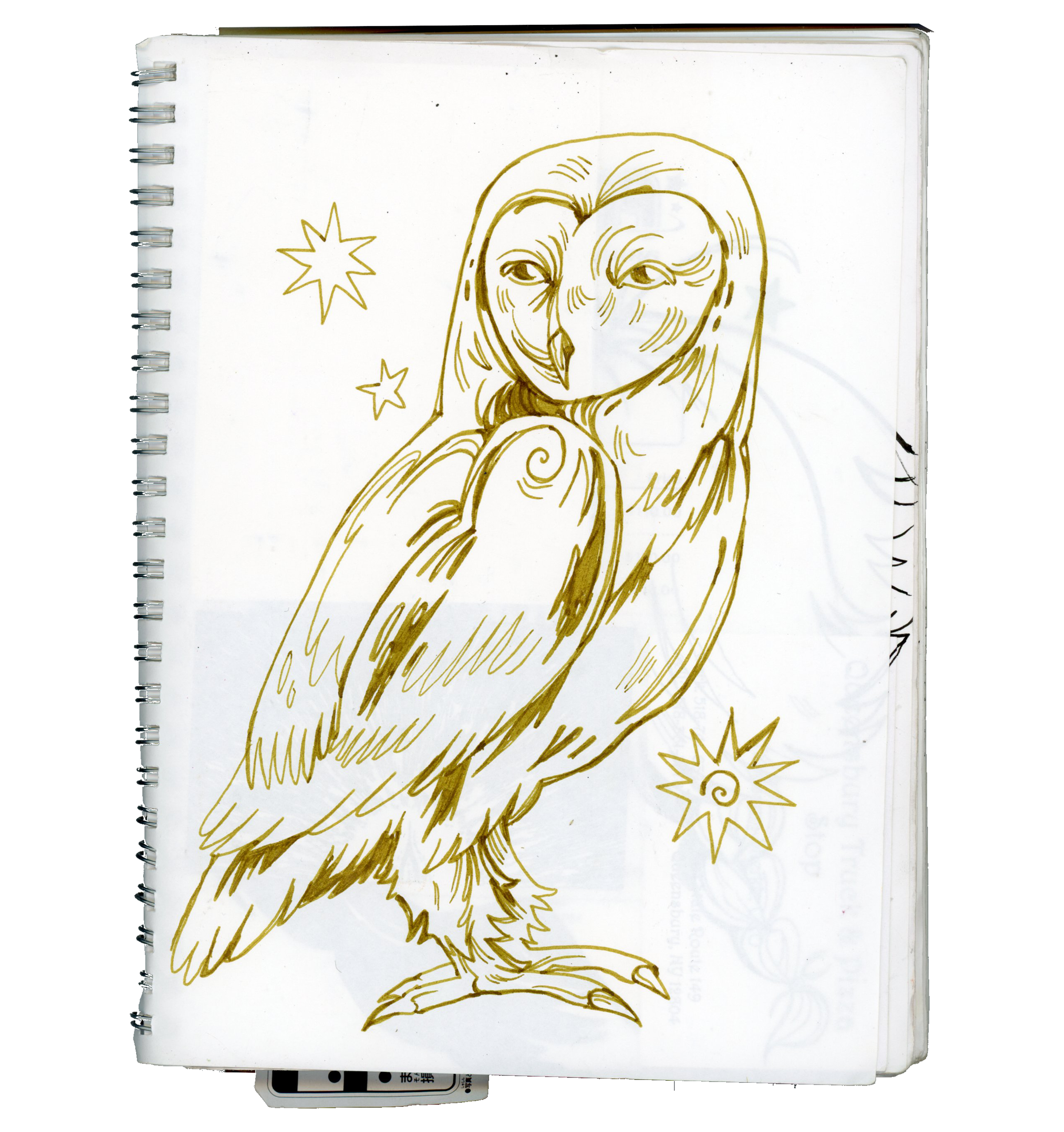 winter - spring 2024 page #3