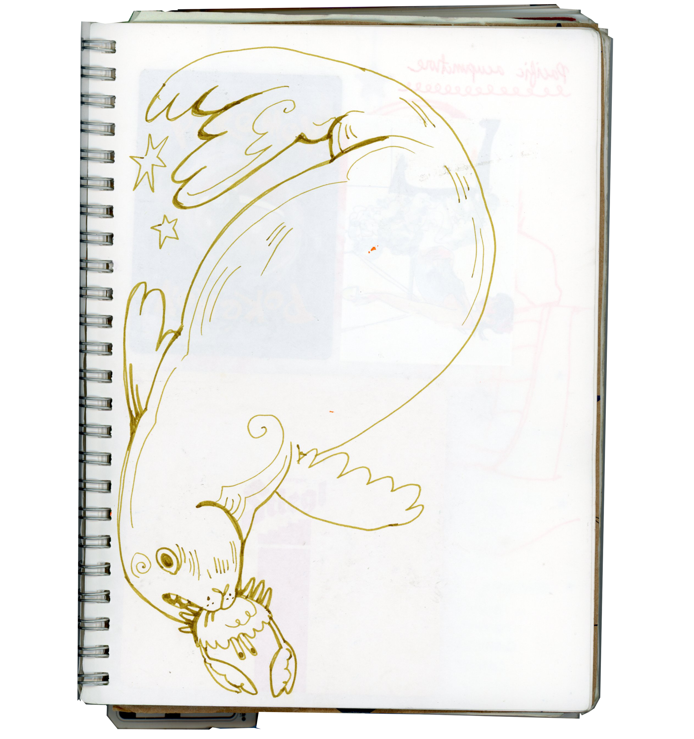 winter - spring 2024 page #10