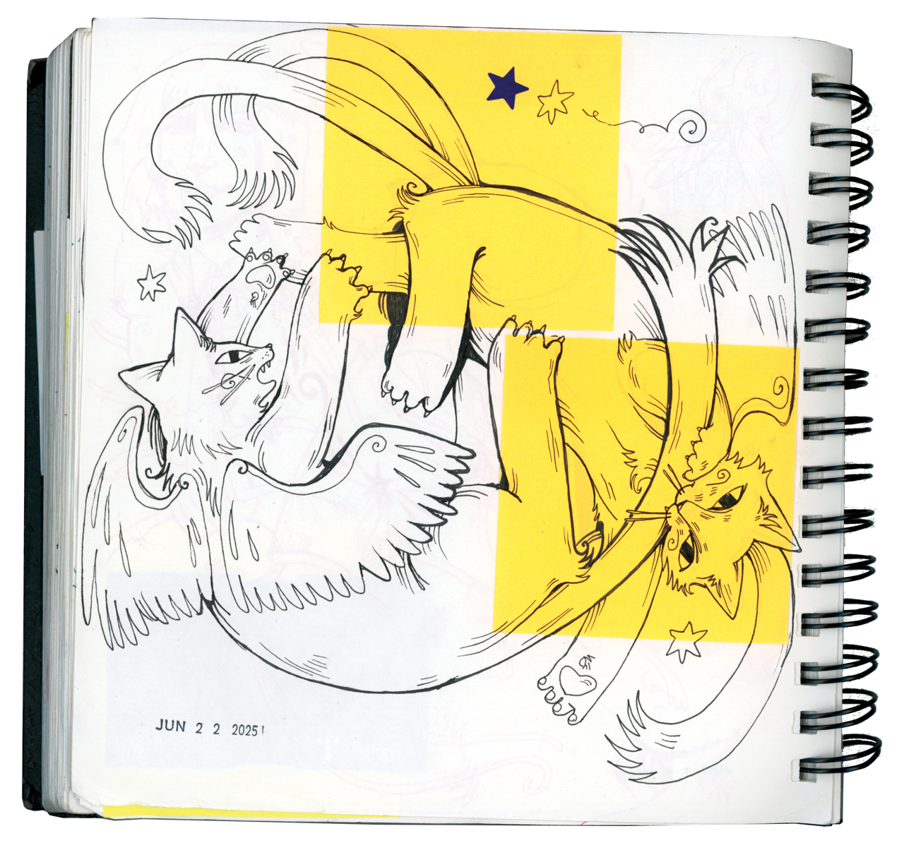 winter - spring 2025 page #7