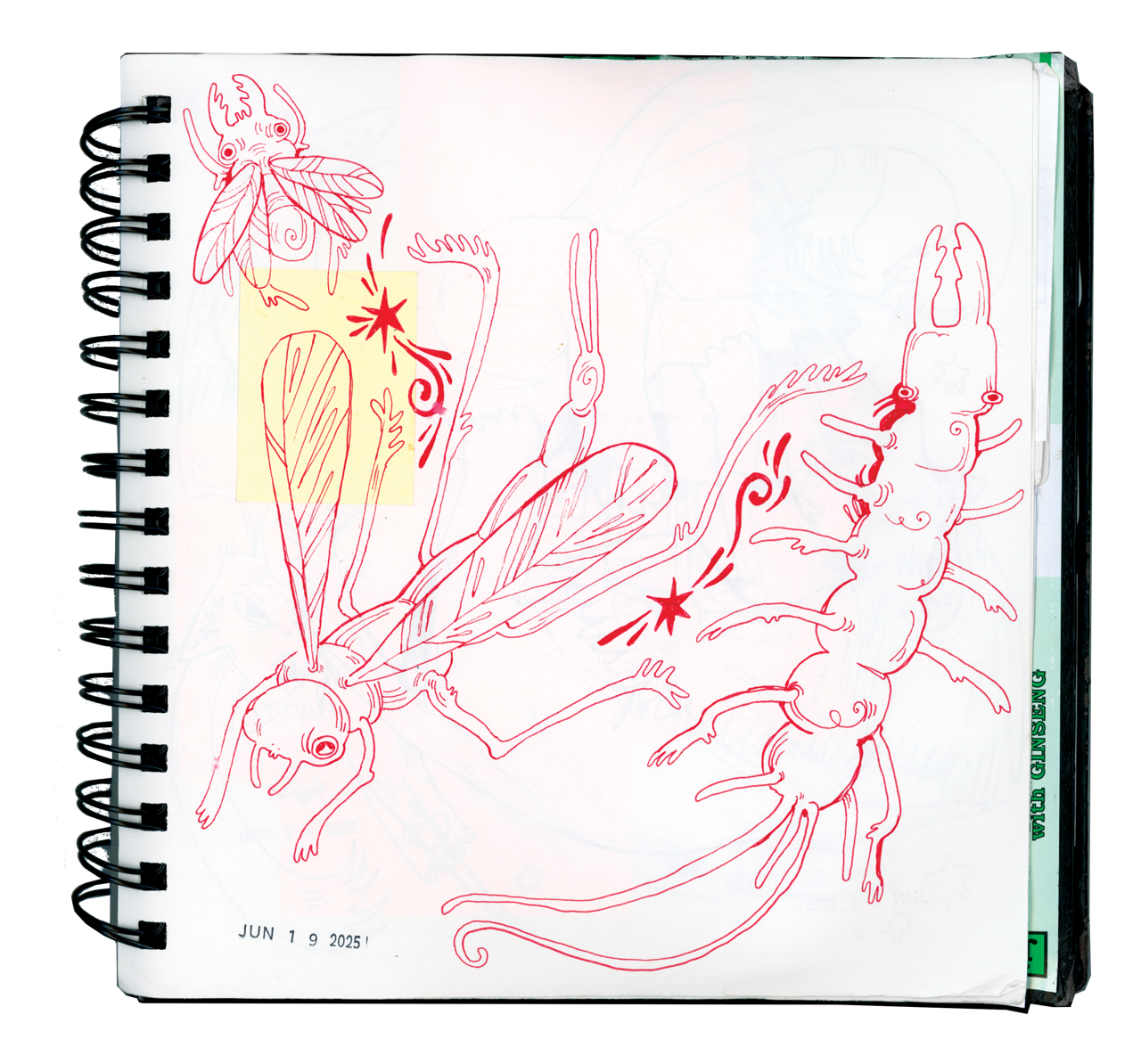 winter - spring 2025 page #15