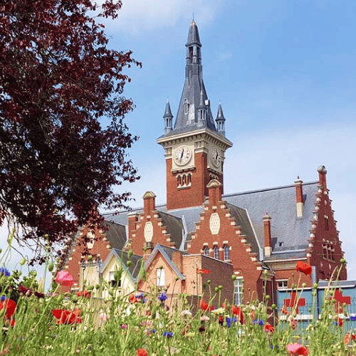 Hugo Cauchois - Albert - Estimation Immobilière