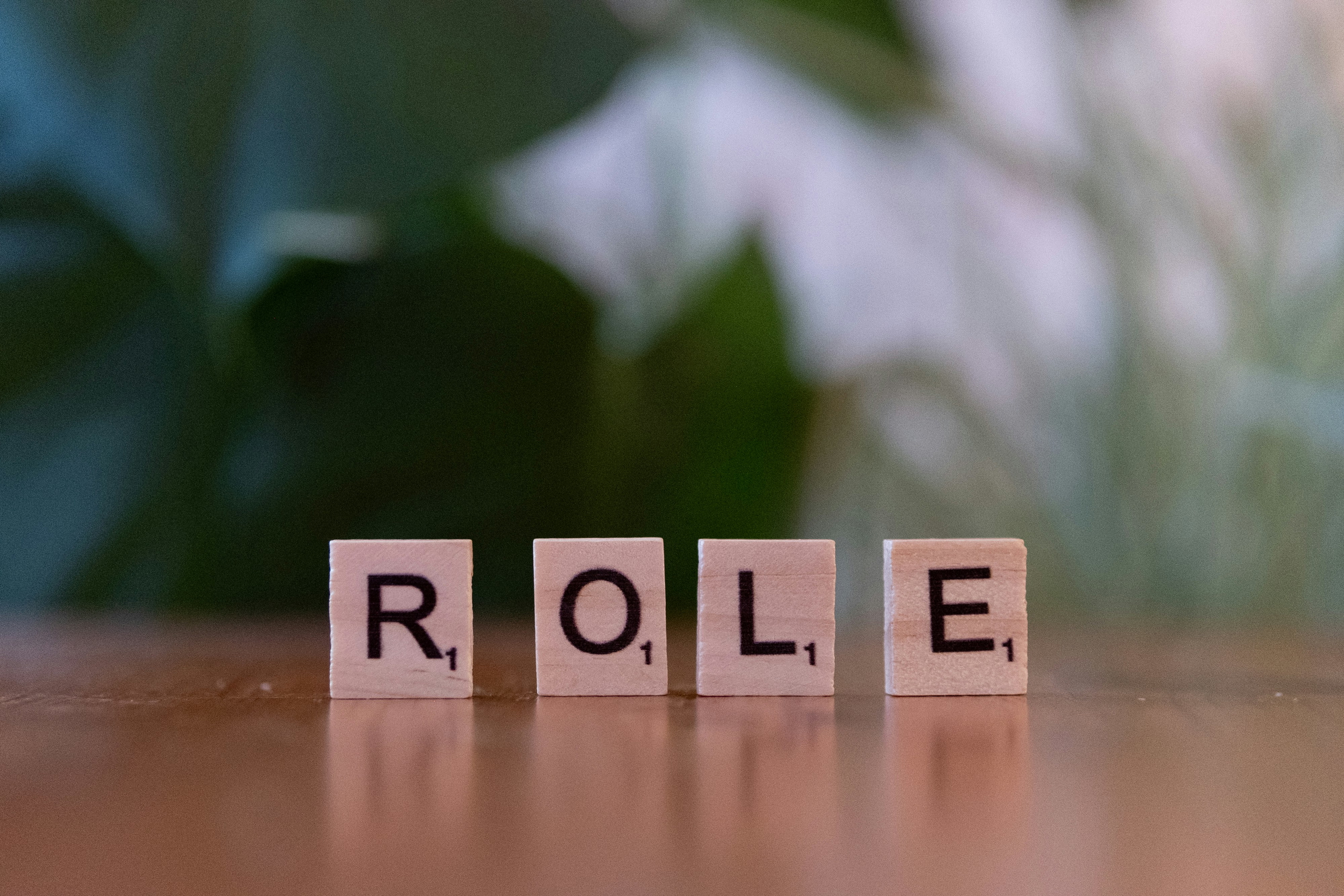 role definition