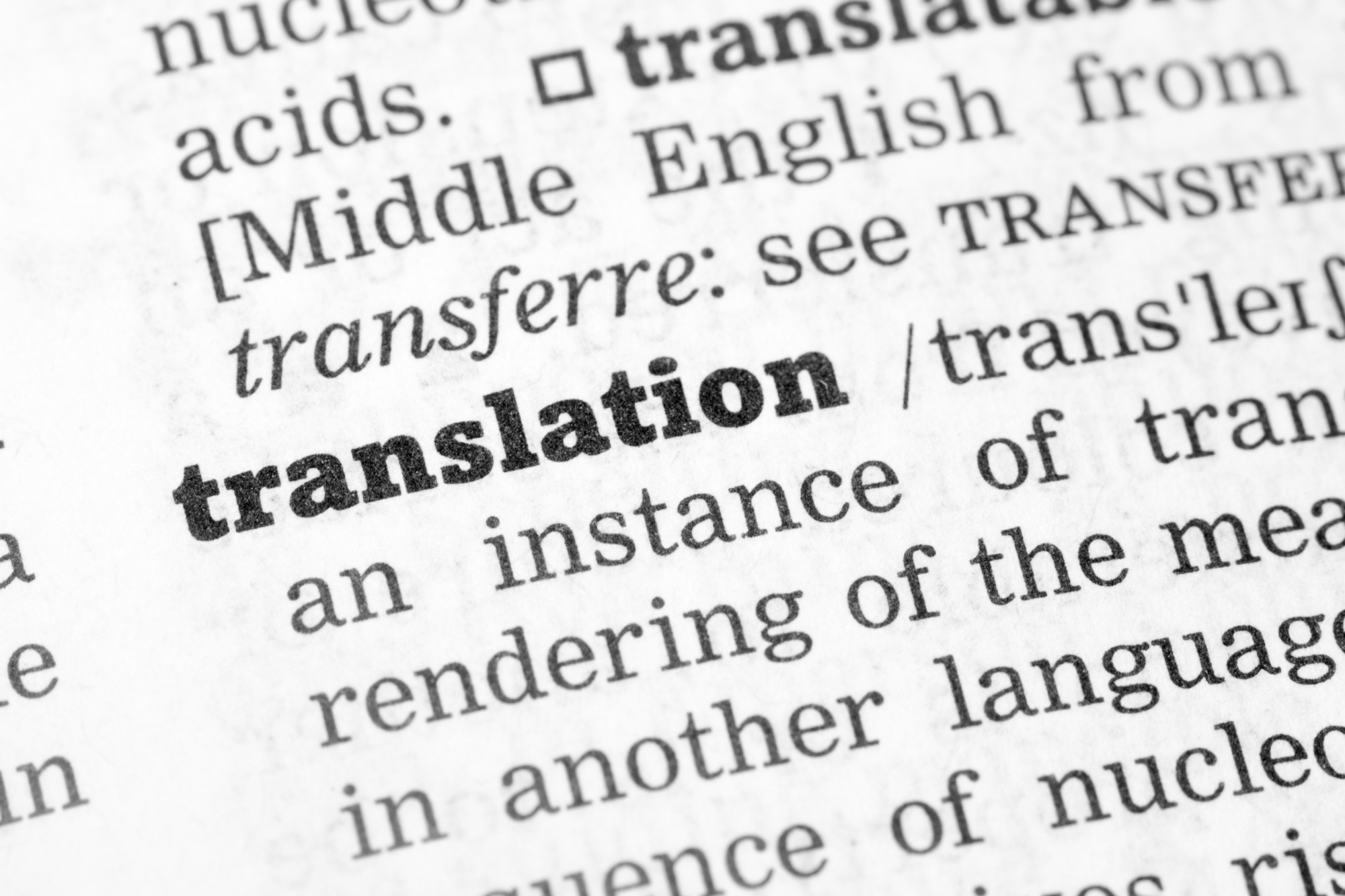 translation services